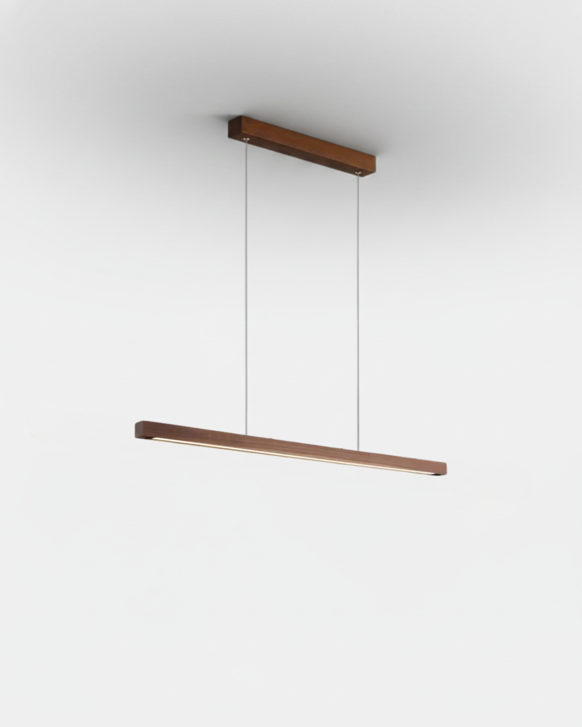 Suspension – Dili