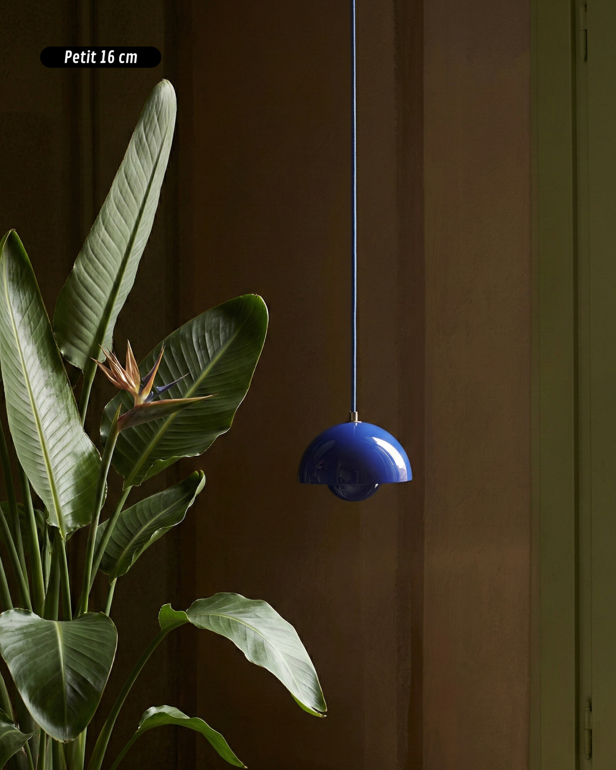 Suspension – Gaoka